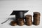 Coins and student graduation hat on white background. Tuition fees concept