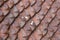 Coins thrown on roof made of beautiful red ornamental tiles