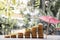 Coins and umbrellas in the natural background on a wooden table are a step towards success in saving and saving for retirement