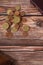 Coins on wooden background with holy bible book and wallet, vertical shot, copy space, top view, Christian tithing concept