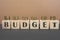 Coins and wooden cubes with the word BUDGET. Money annual budget concept