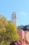 Coit Tower from Below