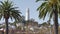 Coit tower framed by palm trees in san francisco