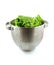 Colander with fresh spinach