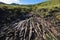 Colata di lava solida - Roccia lavica sul vulcano Etna-Sicilia