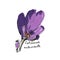 Colchicum autumnale. beautiful pink flower. Illustration colorful crocuses