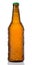 Cold beer bottle