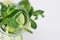 Cold beverage with ice cubes, slices lime, cucumber, straw, twigs mint on white wood board, top view, closeup.