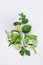 Cold beverage with ice cubes, slices lime, cucumber, straw, twigs mint on white wood board, top view, closeup.