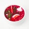 Cold Borscht Soup. Traditional Russian, Polish and Ukraine Ð¡uisi