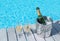 Cold champagne bottle in ice bucket and two glasses of champagne on the deck by the bottle in bucket and two glasses of champagne