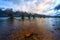 Cold cloudy sunrise at the famous willow tree row in Glenorchy, South Island, New Zealand.