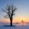 Cold , but colorful February evening in Lithuania