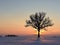 Cold ,but colorful winter evening in Lithuania.