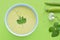 Cold creamy green pea soup and pea pod.