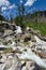 Cold Creek cascades in High Tatras