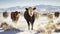 Cold Desert Winds - The Herd\\\'s Migration Amidst Snowy Whispers. Generative AI