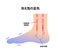 Cold foot blood circulation illustration sensitivity to cold, cold toes / Japanese