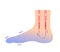 Cold foot blood circulation illustration sensitivity to cold, cold toes / No text