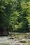 Cold, fresh mountain river with surrounding lush green vegetation