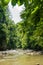 Cold, fresh mountain river with surrounding lush green vegetation