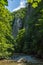 Cold, fresh mountain river with surrounding lush green vegetation