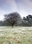 Cold frosty day landscape