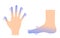 Cold hand and foot / blood circulation illustration sensitivity to cold