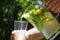 A cold lemon drink with mint leaves and fruit slices pouring into a glass