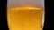 Cold light beer in a beer mug on a black background with water droplets and foam. Lager Beer closeup. Glass of beer with