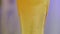 Cold light beer in a glass on a bluish blurred background. Seething bubbles in a glass of beer. Craft beer concept. Slow