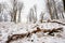 Cold and misty morning, snow and hoarfrost grass on the mountain.