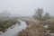 Cold misty Winter landscape over stream in English countryside