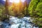 Cold mountain stream coming from Savica waterfall, river Sava ne