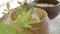 cold Ramen noodles decorating with bamboo leaves