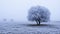 Cold Serenity: Frosty Steppe Landscape