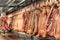 Cold storage room for meat, pork carcasses hanging in freezer.