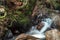 Cold stream of water in a mountain creek