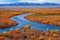 Cold summer landscape in valley with Iceland aerial river