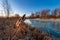 Cold sunny morning. Frozen lake on an autumn day