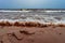 Cold waves with spray on the sandy shore