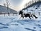 Cold winter beautiful wiew horse