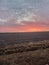 Cold winter cornfield sunrise