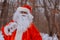 On cold winter day in a red Santa hat walk in a beautiful snowy forest, carry Christmas present gifts stand with their