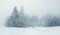 Cold winter forest landscape snowy