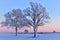 Cold  winter morning or evening in Europe. Lithuanian wintry landscape