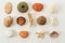 Colection of various sea animals urcihn, snail, sand dollar, shell, crab, coral
