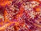 Coleman shrimp, Periclimenes colemani, on fire urchin, Astropyga radiata