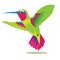 Colibri Bird. Small Colored Bird On A White Background. Vector Picture. Hummingbird Bird Picture.