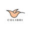 Colibri or hummingbird logo design with simple line art logo type